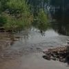 «Наводнение-2022»: Читинка промыла дамбу и топит дачные кооперативы